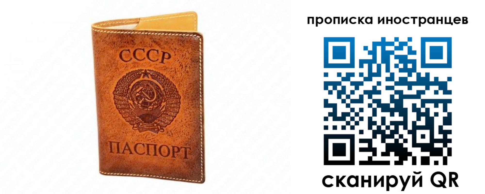 прописка для школы в Владивостоке